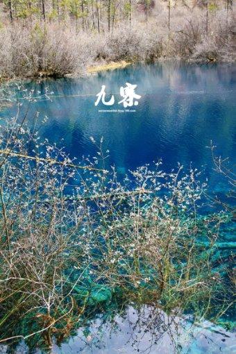 湖南邵东市流泽镇乡贤捐资打造“四位一体”美丽农村路